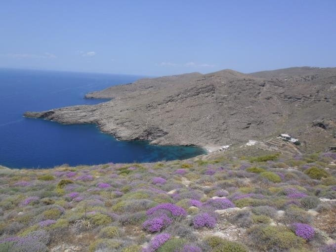 (Verkauf) Nutzbares Land Grundstück || Cyclades/Kea-Tzia - 4.336 m², 180.000€ 